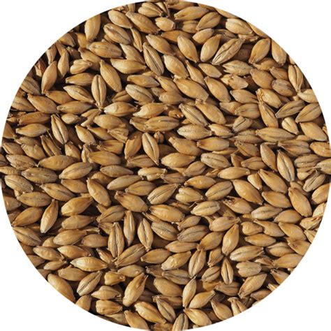 extra pale ale malt